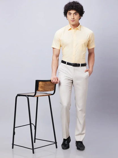 Park Avenue Men Fawn Structure Smart Fit Polyester Blend Trouser