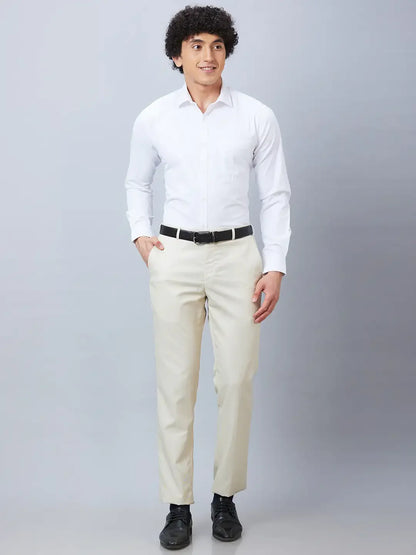 Park Avenue Men Fawn Stripe Smart Fit Polyester Blend Trouser