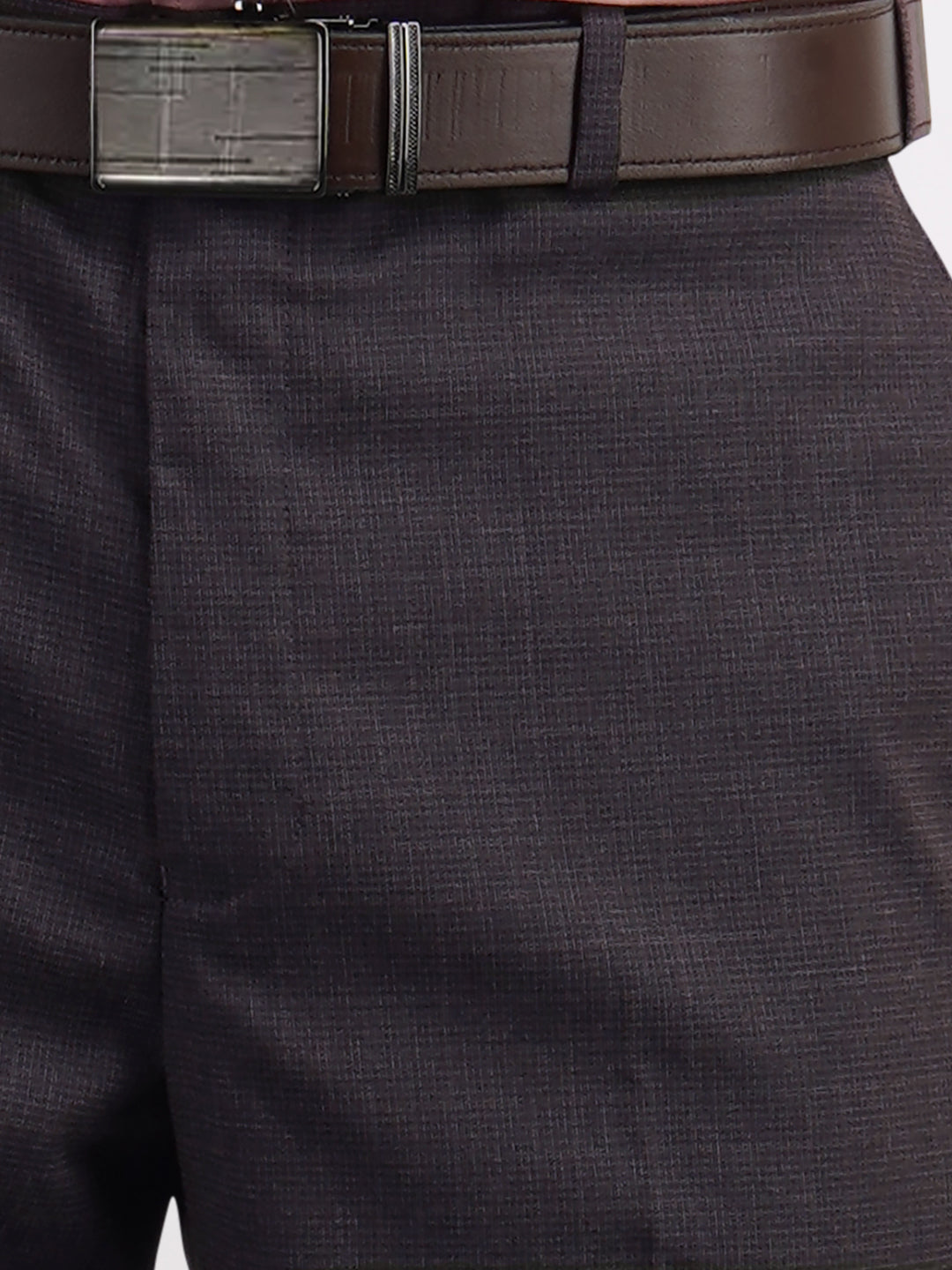 Park Avenue Brown Structure Regular Fit Polyester Blend Trouser