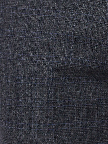 Park Avenue Men Blue Checks Regular Fit Polyester Blend Trouser