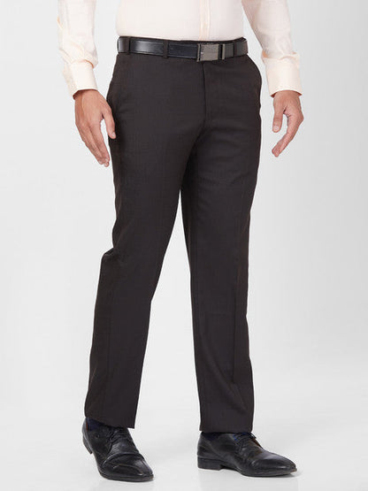 Park Avenue Men Brown Regular Fit Solid Trouser