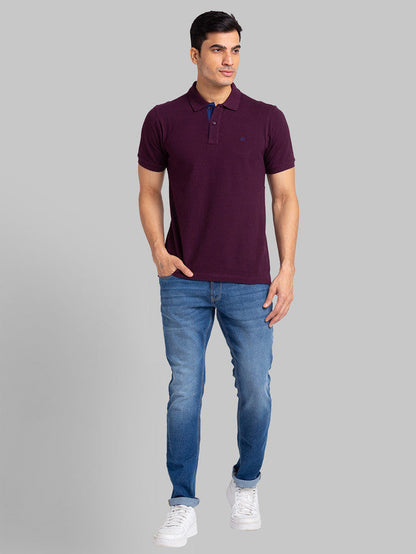Raymond Maroon Solid Modern Fit Cotton T-Shirt