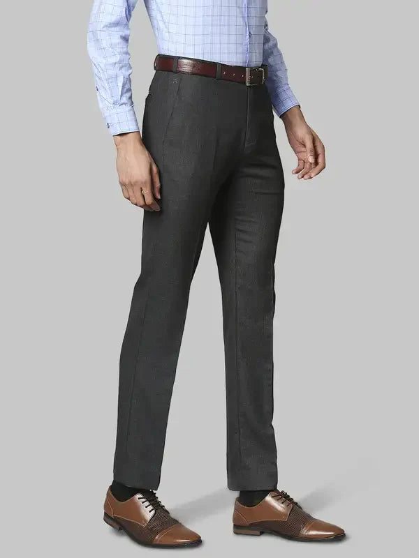 Men Grey Classic Fit Structure Polyester Blend Trouser