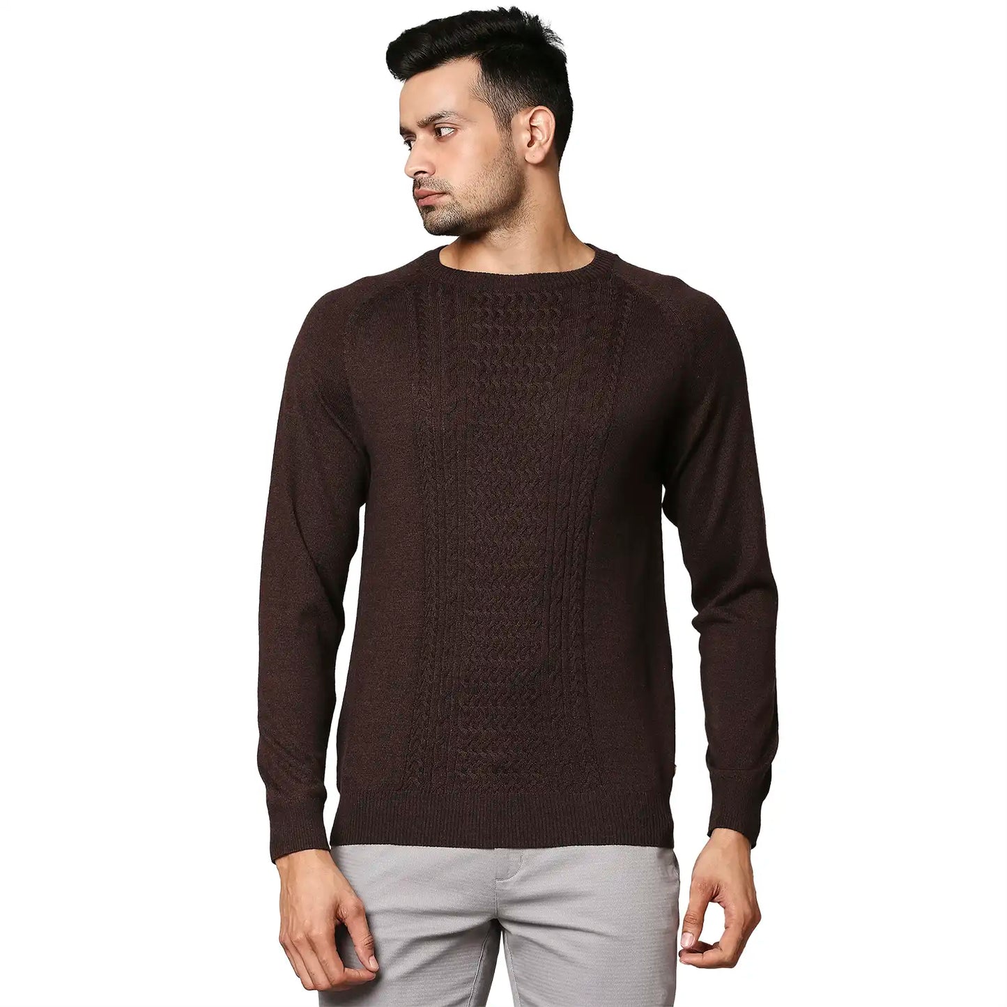 Men Brown Structure Cable Wool Blend Round Collar Sweaters