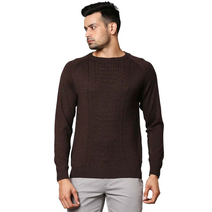 Men Brown Structure Cable Wool Blend Round Collar Sweaters