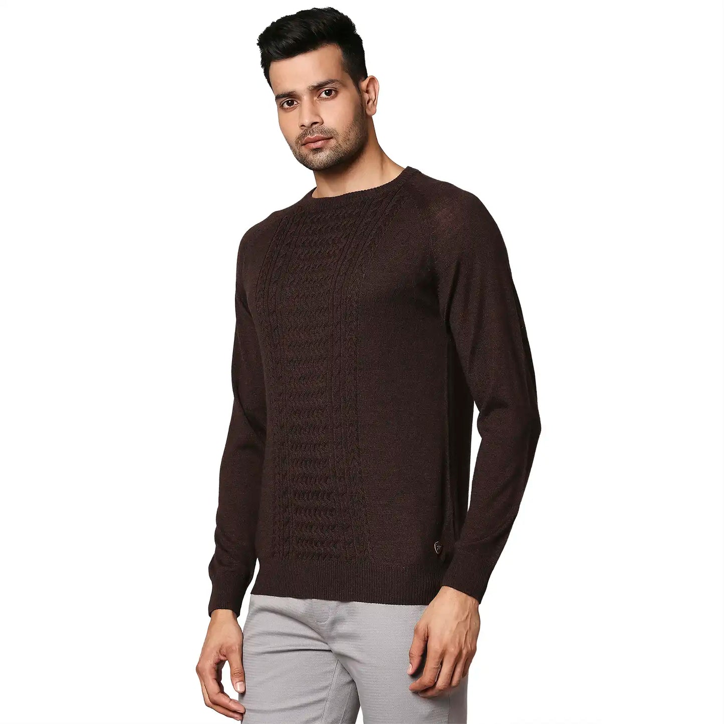 Men Brown Structure Cable Wool Blend Round Collar Sweaters