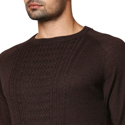 Men Brown Structure Cable Wool Blend Round Collar Sweaters