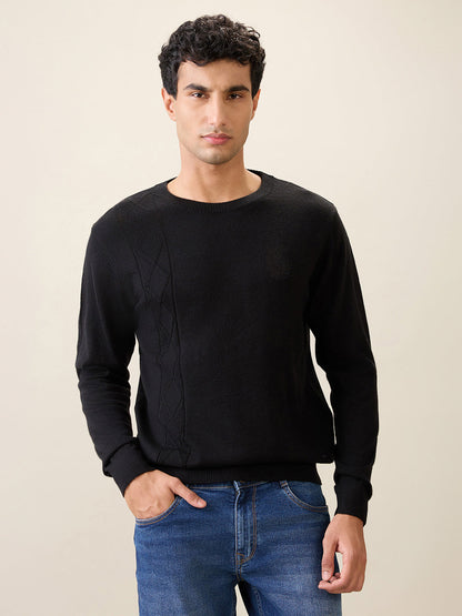 Raymond Men Black Structure Wool Blend Full Sleeve Round Neck Collar Sweater