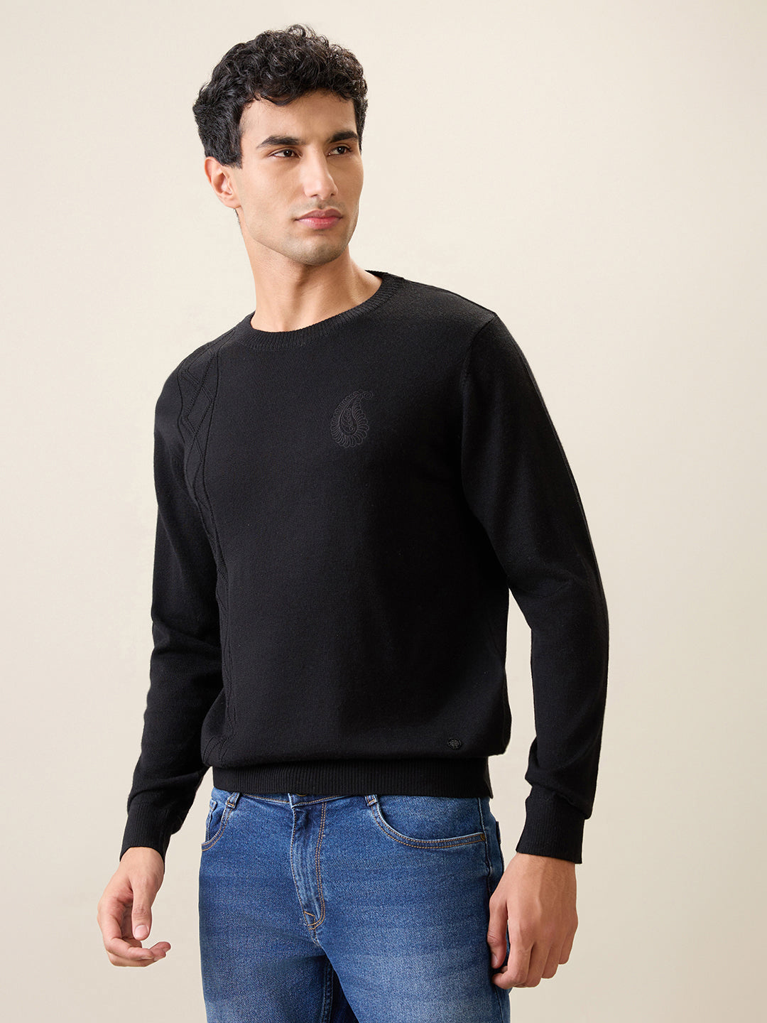 Raymond Men Black Structure Wool Blend Full Sleeve Round Neck Collar Sweater