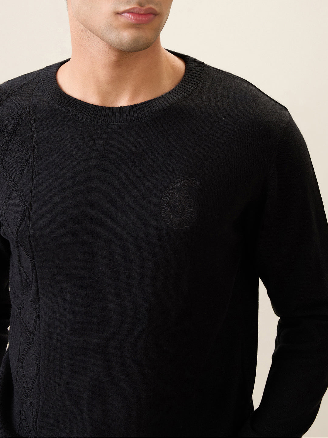 Raymond Men Black Structure Wool Blend Full Sleeve Round Neck Collar Sweater