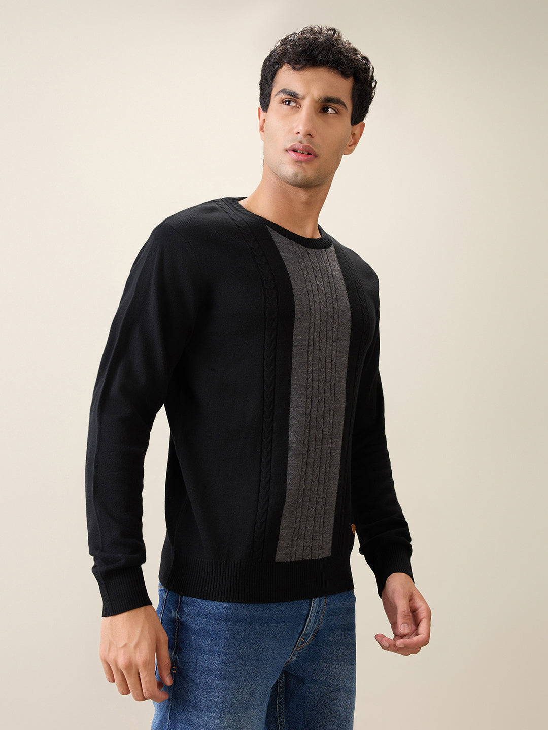 Raymond Men Black Structure Cable Acrlic Blend Full Sleeve Round Neck Collar Sweater