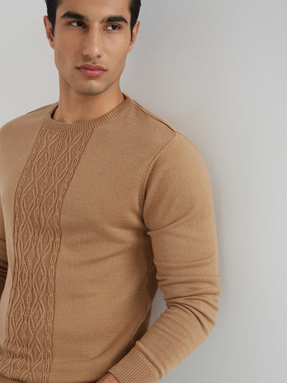 Men Fawn Structure Cable Acrylic Wool Blend Round Collar Sweaters
