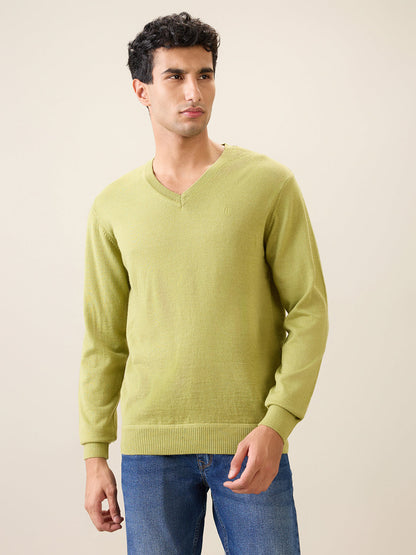 Raymond Men Green Solid Wool Blend Full Sleeve V Neck Collar Sweater