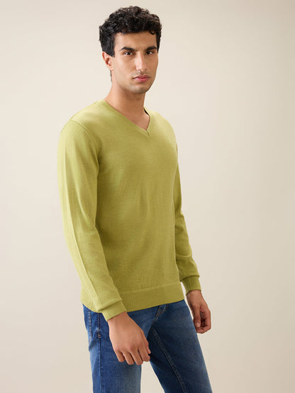 Raymond Men Green Solid Wool Blend Full Sleeve V Neck Collar Sweater