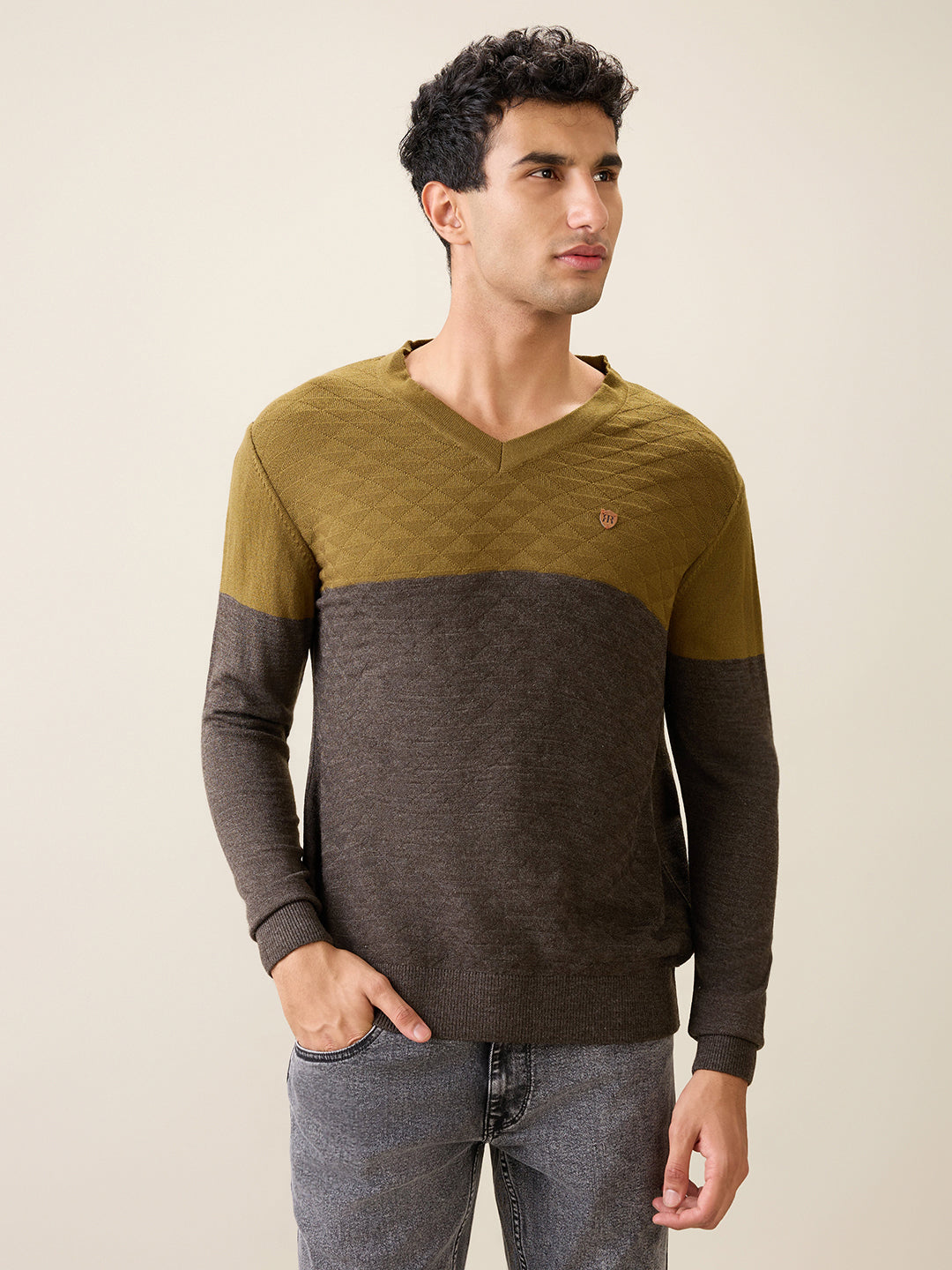 Raymond Men Green Structure Acrylic Full Sleeve V Neck Collar Sweater