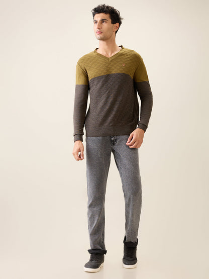 Raymond Men Green Structure Acrylic Full Sleeve V Neck Collar Sweater