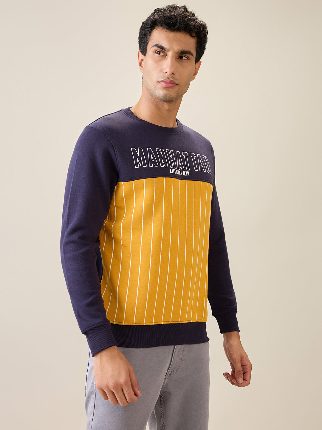 Parx Men Blue Cut & Sew Regular Fit Cotton Blend Full Sleeve Round Neck Collar Sweatshirt