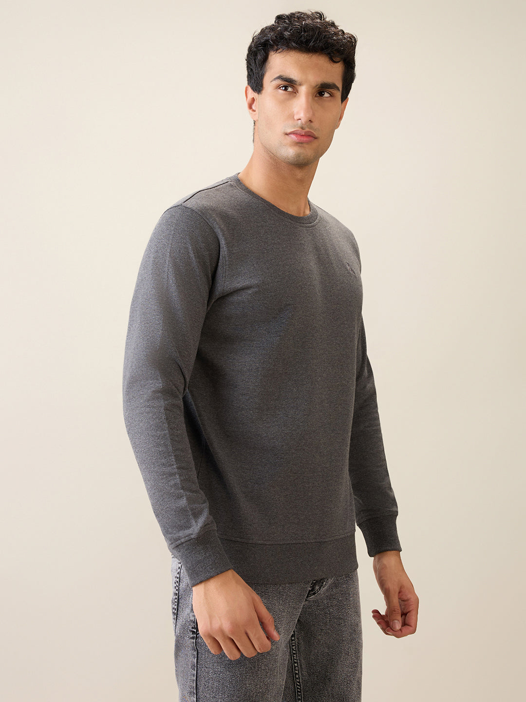 Parx Men Grey Solid Regular Fit Cotton Blend Full Sleeve Round Neck Collar Sweatshirt