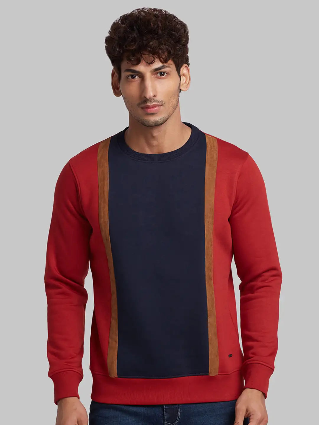 Parx Men Orange Regular Fit Cut & Sew Cotton Blend Sweatshirt